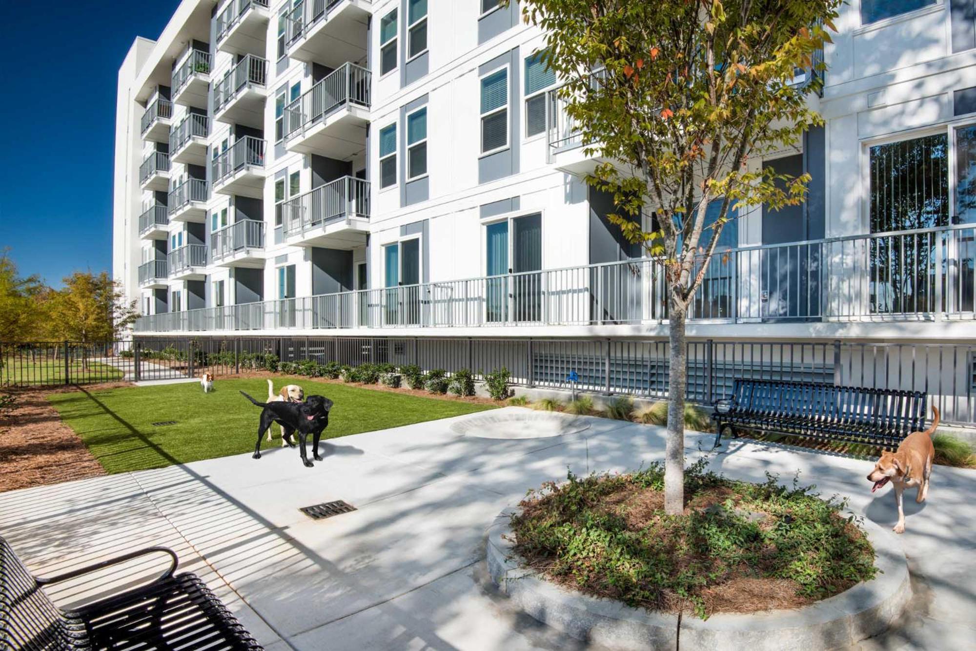 Spectacular Apartments By Bca Furnished Apartments Atlanta Chambre photo
